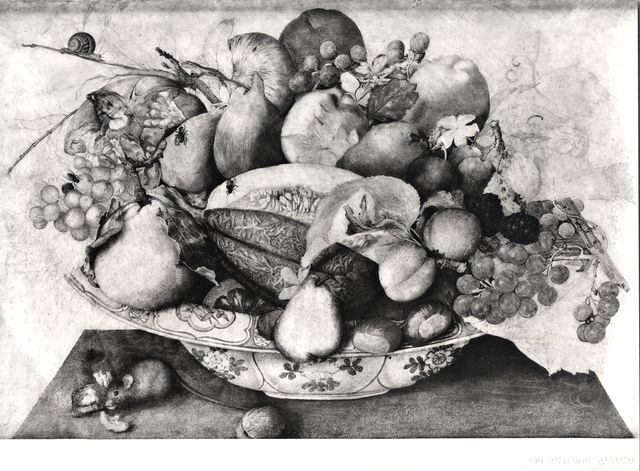Manfrotto — Garzoni Giovanna - sec. XVII - Natura morta con piatto di frutta — insieme